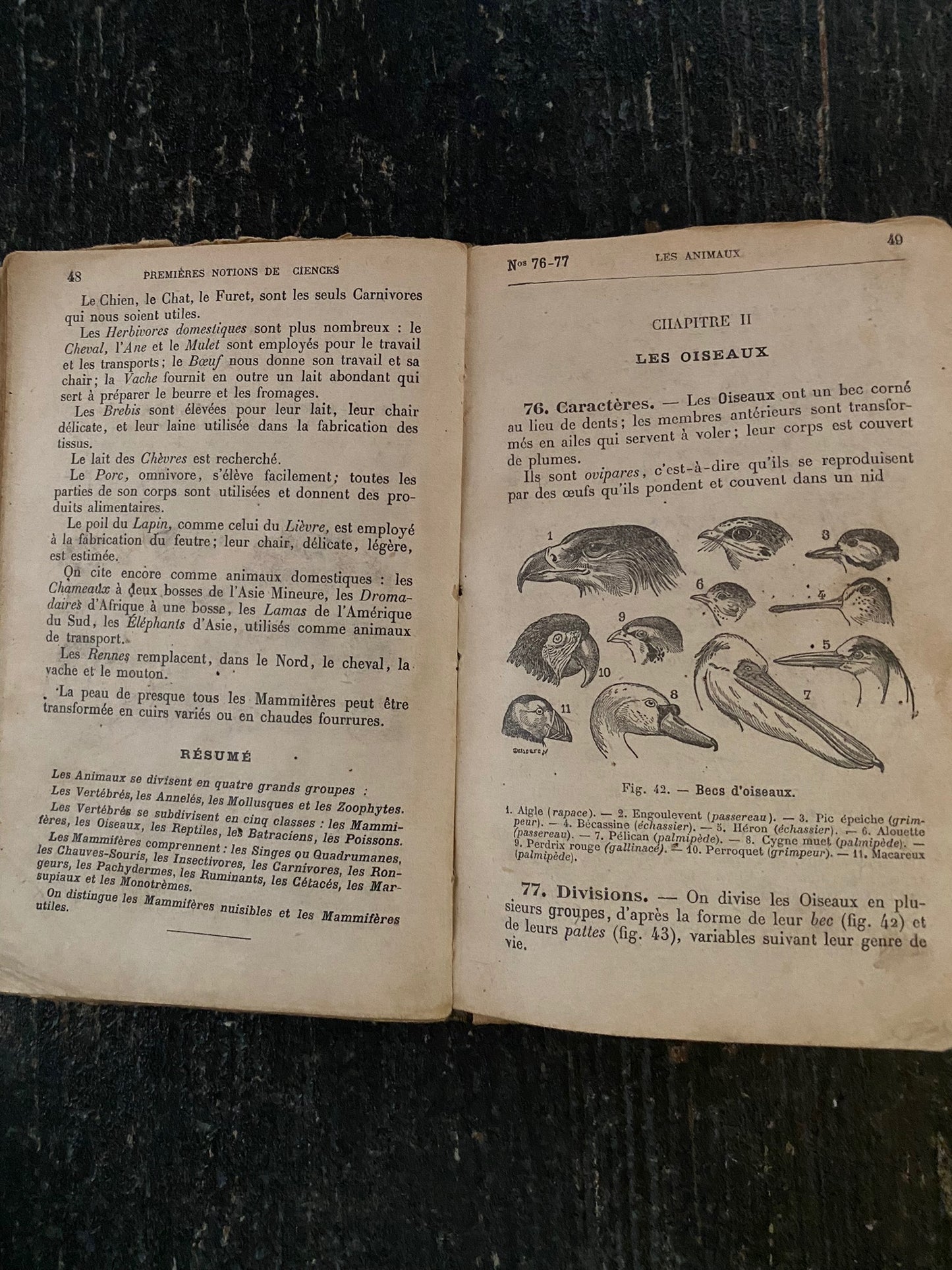 フランス洋書