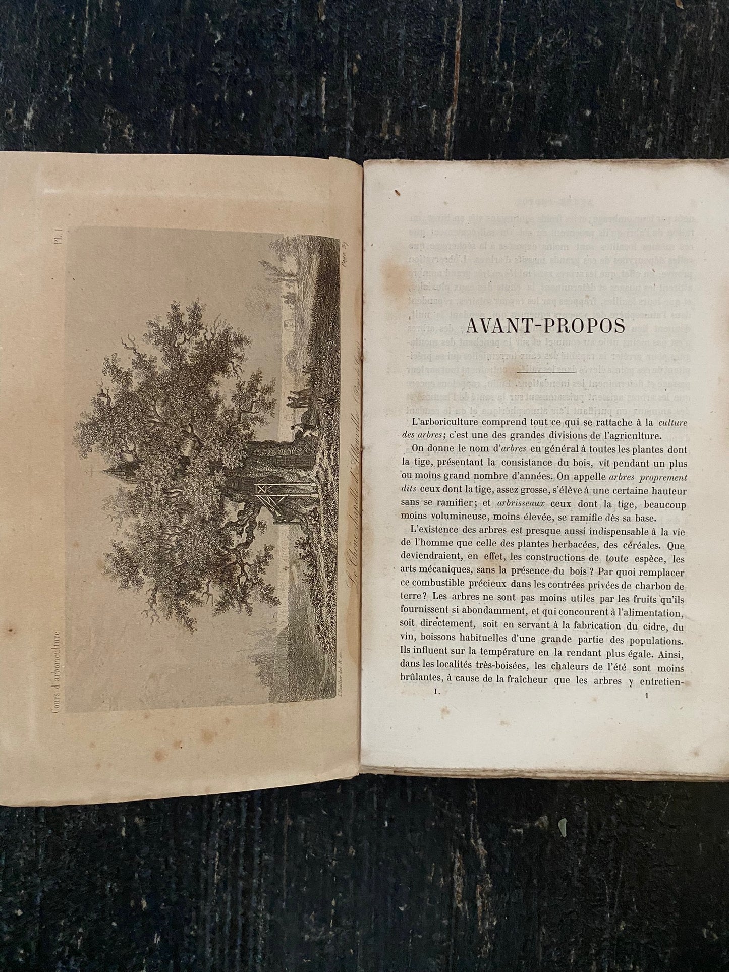 フランス洋書